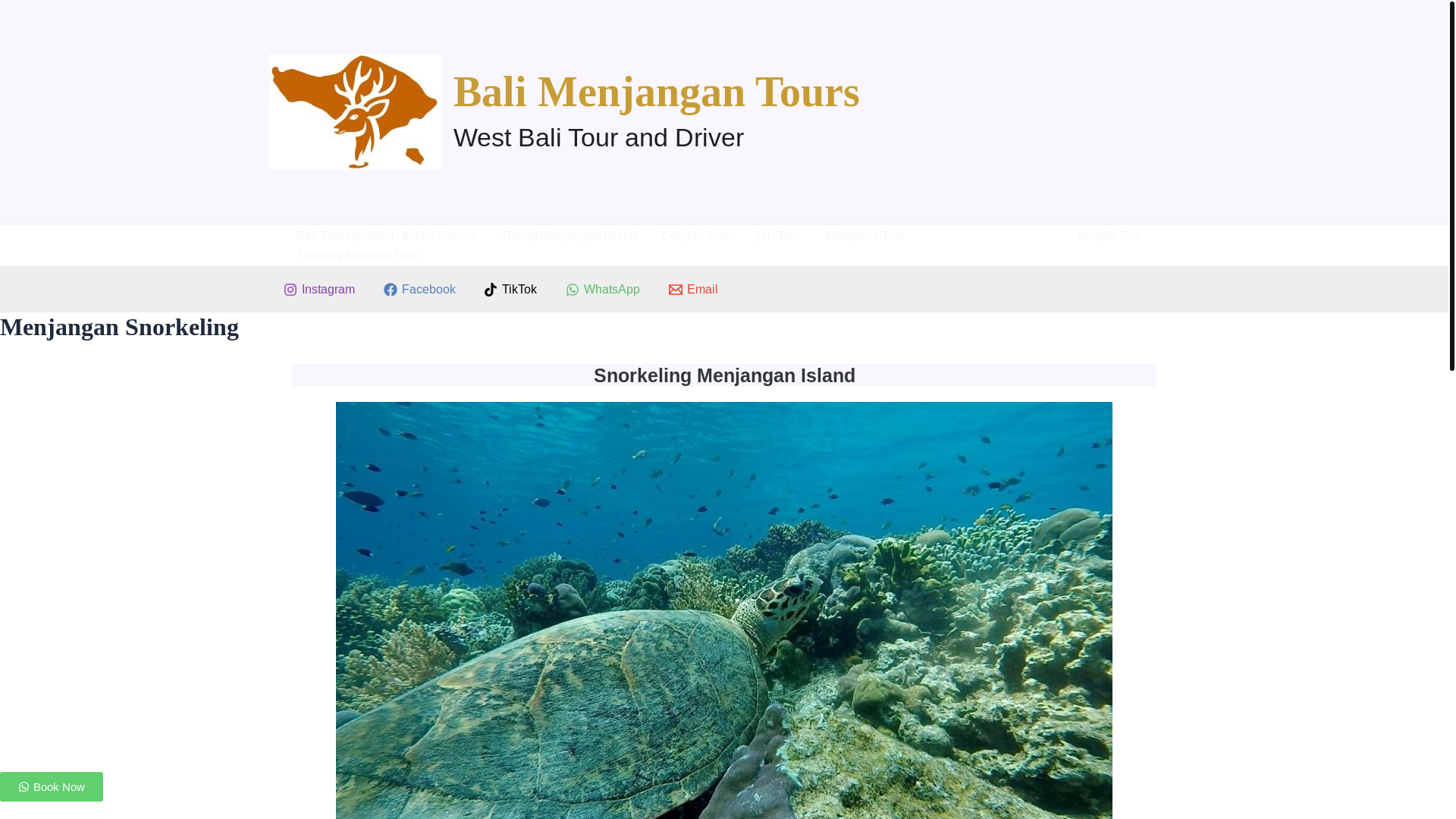 website screenshot of https://balimenjangantours.com/