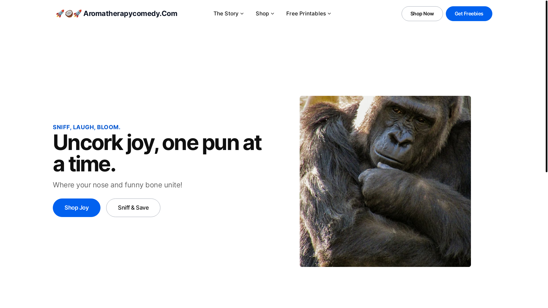 website screenshot of https://aromatherapycomedy-com.pages.dev/