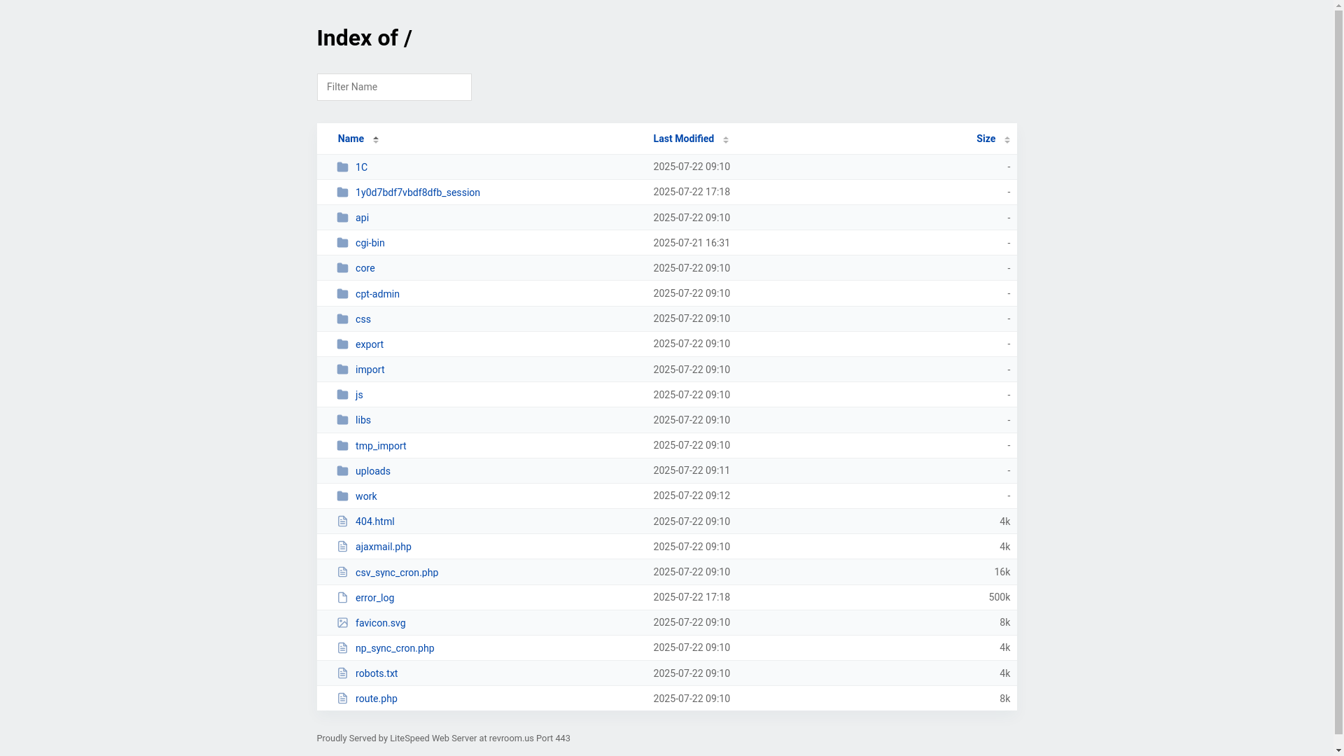 website screenshot of https://revroom.us/