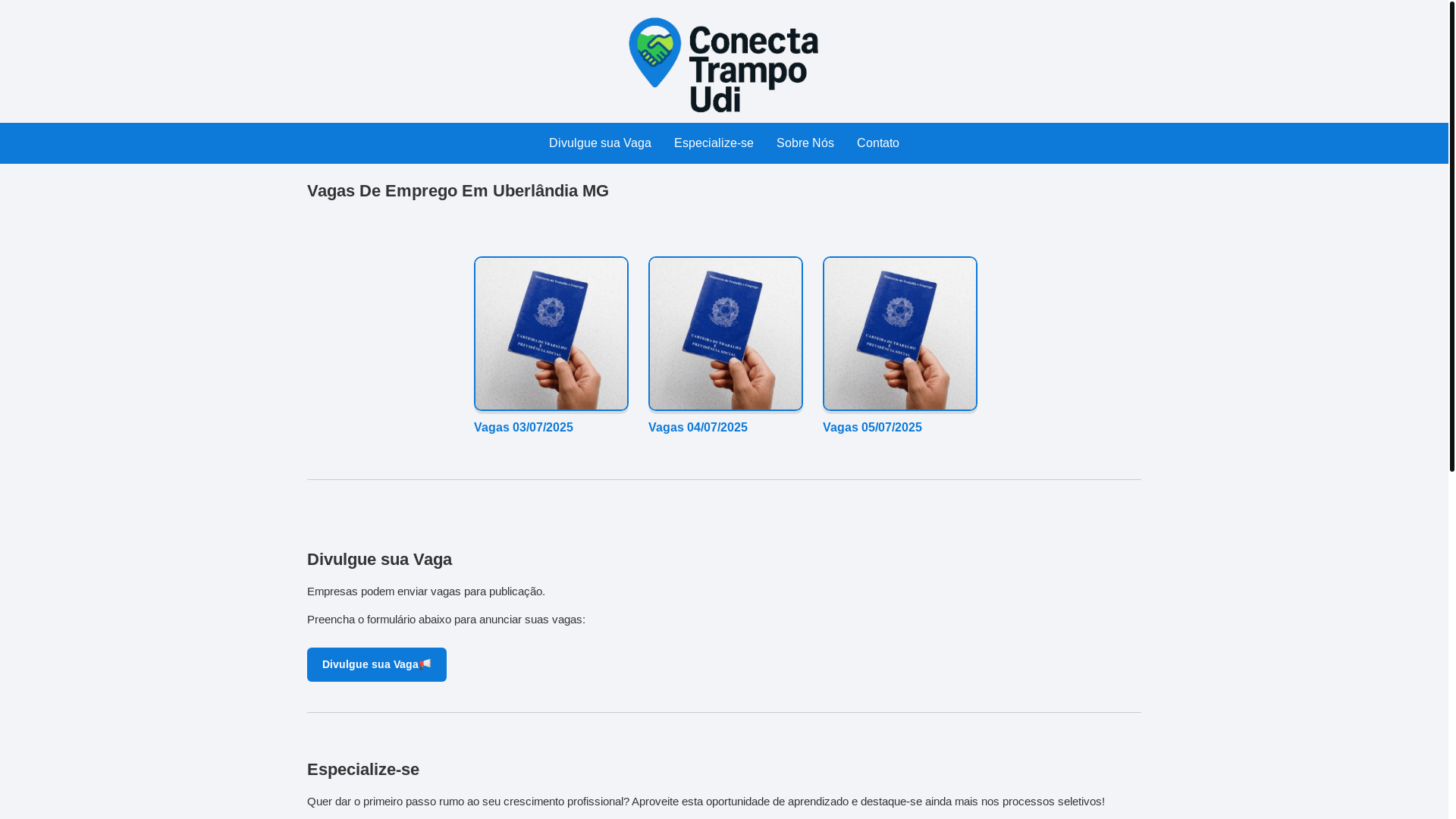 website screenshot of https://conectatrampoudi.com.br/