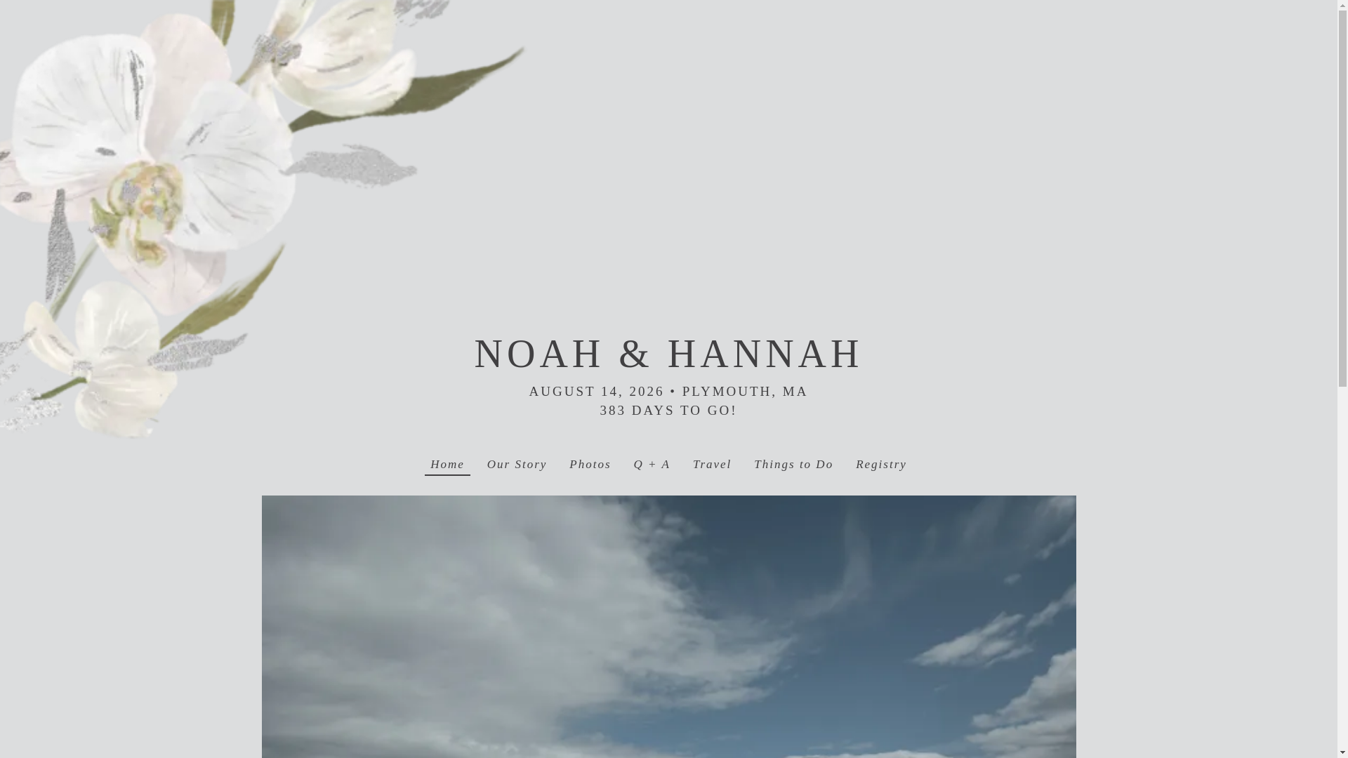 website screenshot of https://noahandhannah.com/