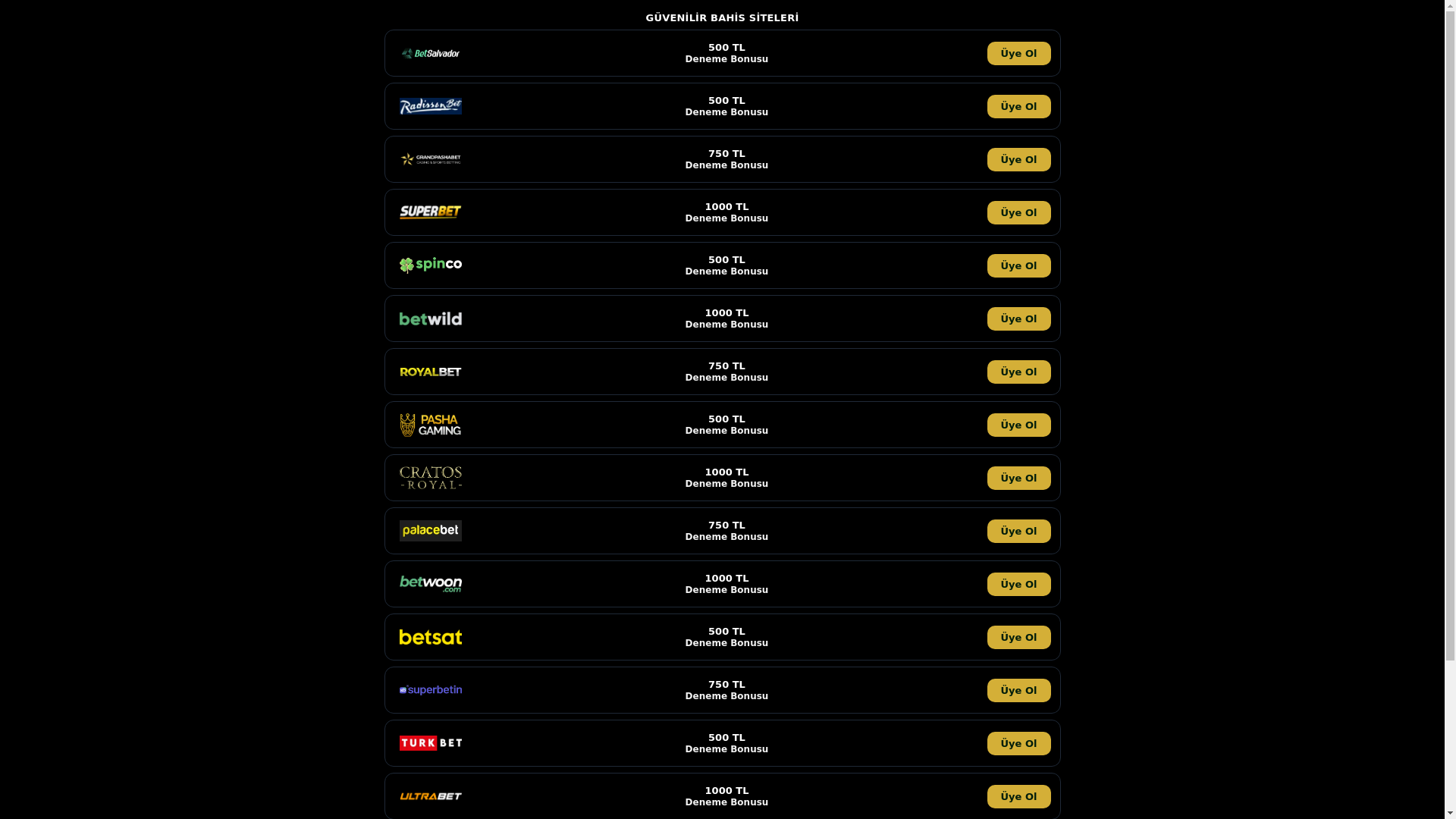 website screenshot of https://martinreklam.pages.dev/