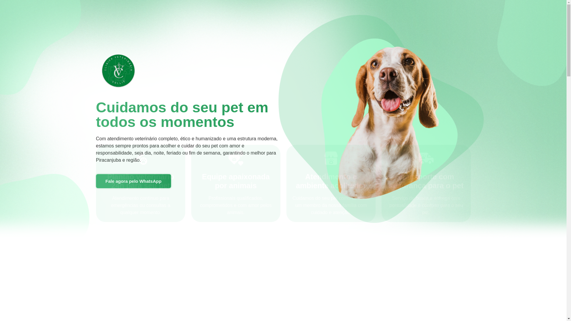 website screenshot of https://clinicavetcollie.com.br/