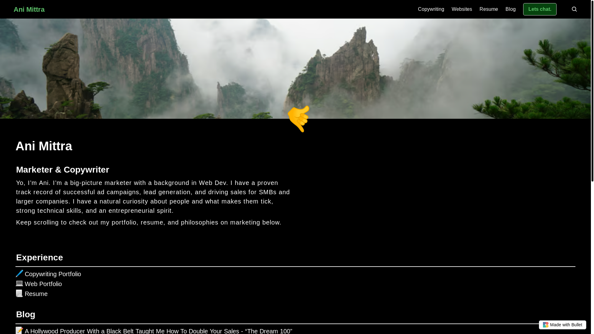 website screenshot of https://ani-mittra-bullet.pages.dev/