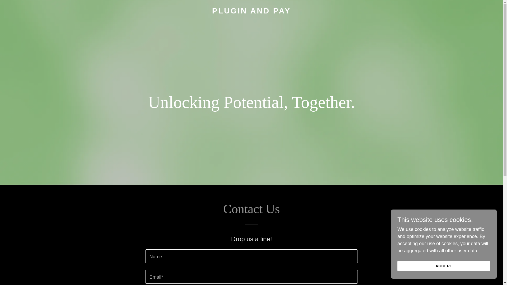 website screenshot of https://pluginandpay.com/