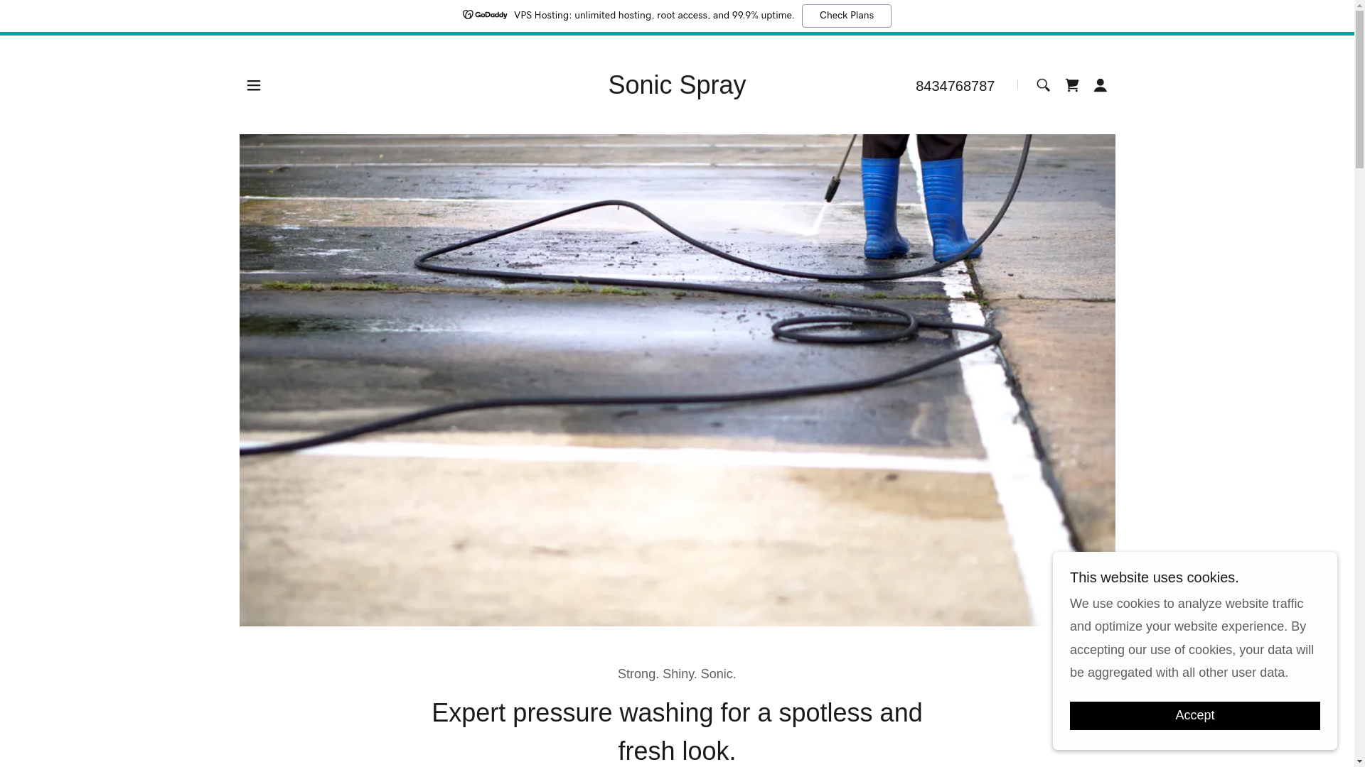 website screenshot of https://sonicsprays.cc/