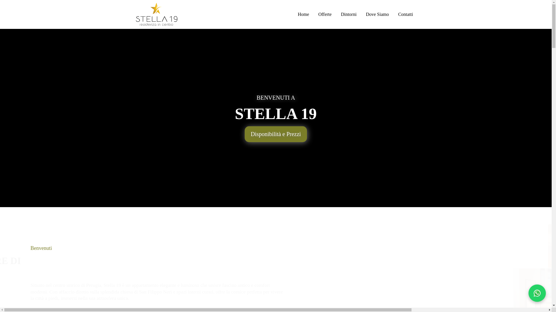 website screenshot of https://stella19.net/