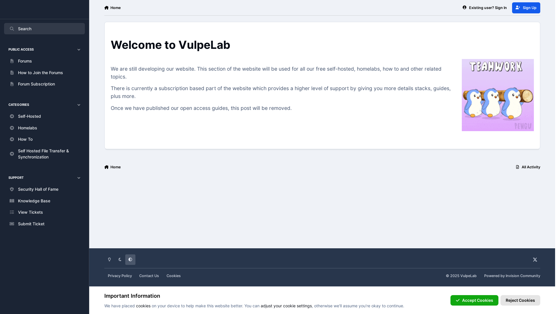 website screenshot of https://vulpelab.com/