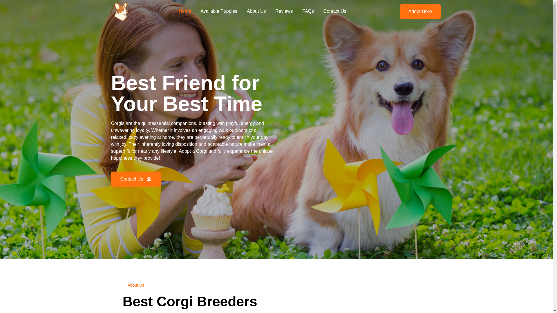 website screenshot of https://safehavencorgis.com/