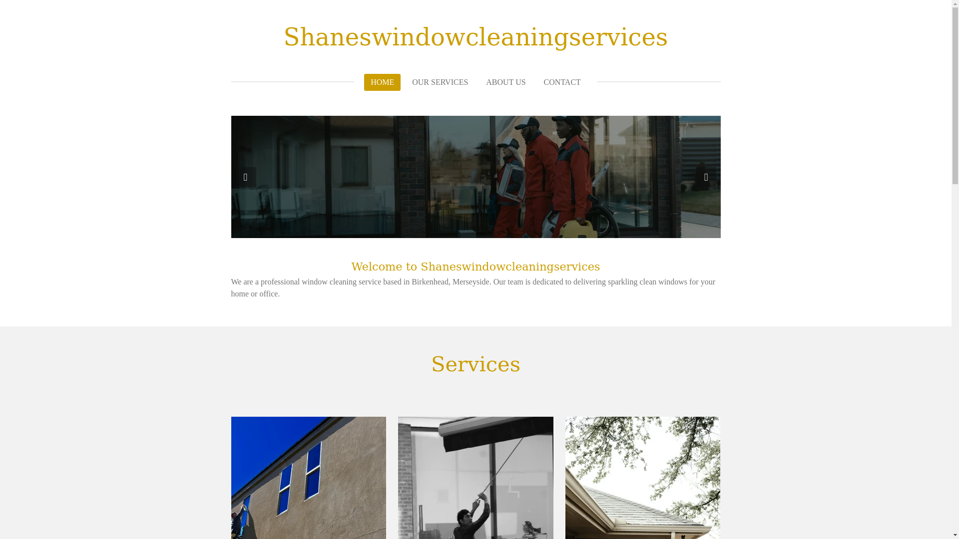 website screenshot of https://shaneswindowcleaningservices.com/