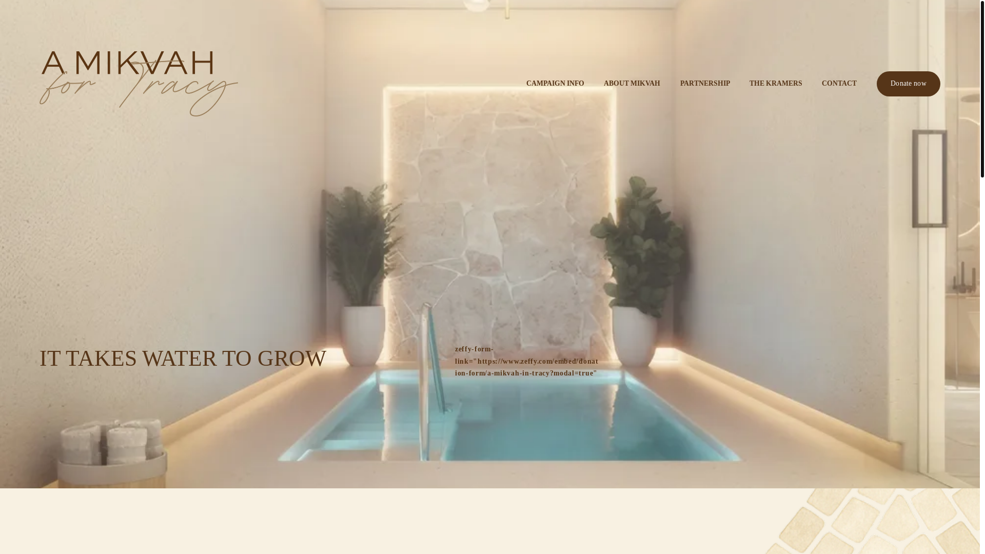 website screenshot of https://tracymikvah.com/