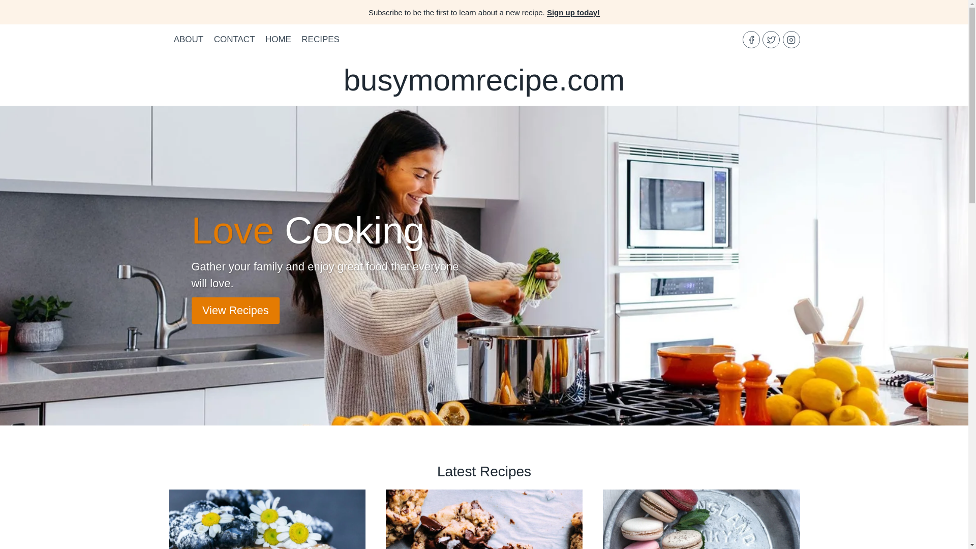 website screenshot of https://busymomrecipe.com/
