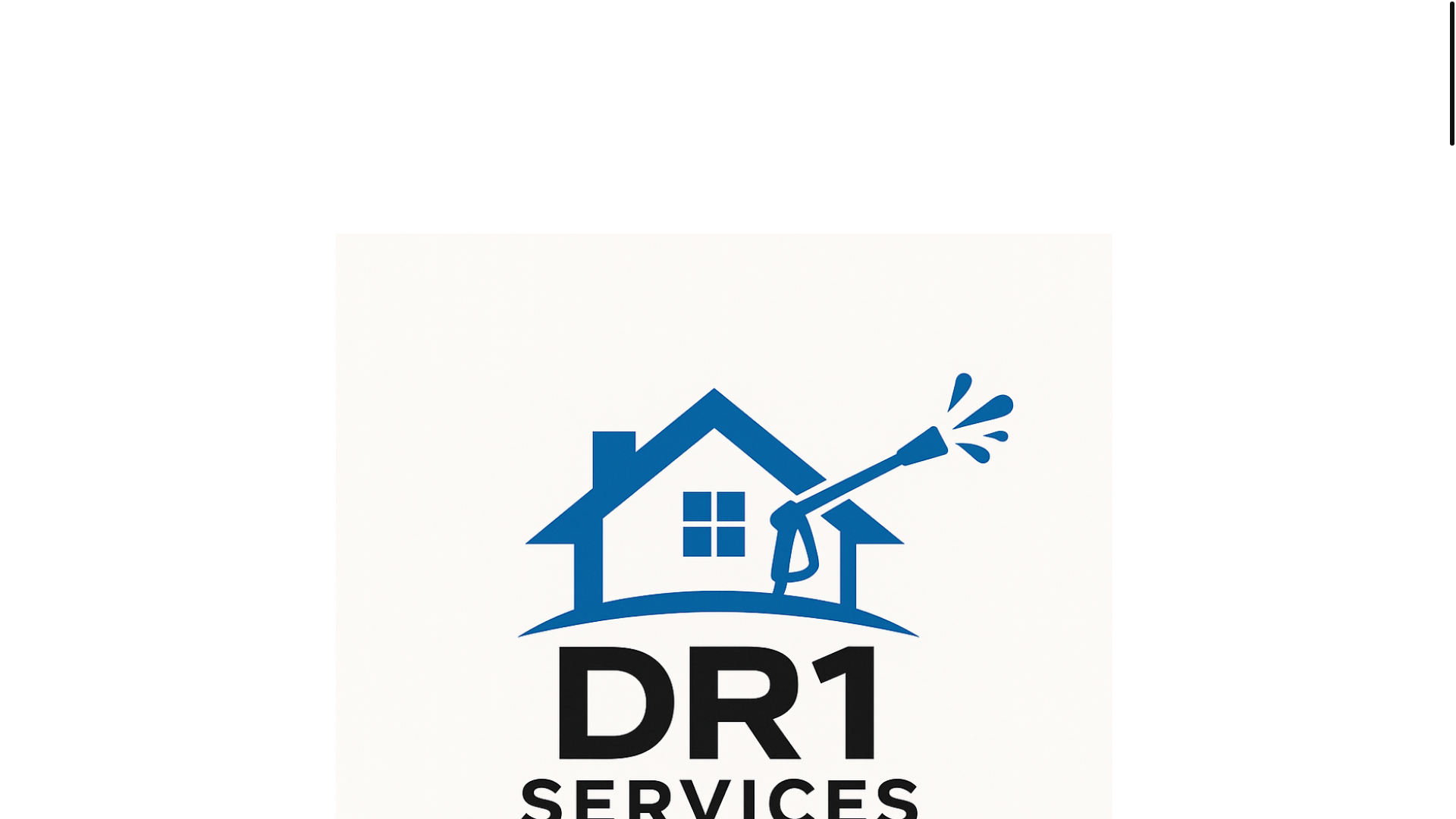 website screenshot of https://dr1services.net/