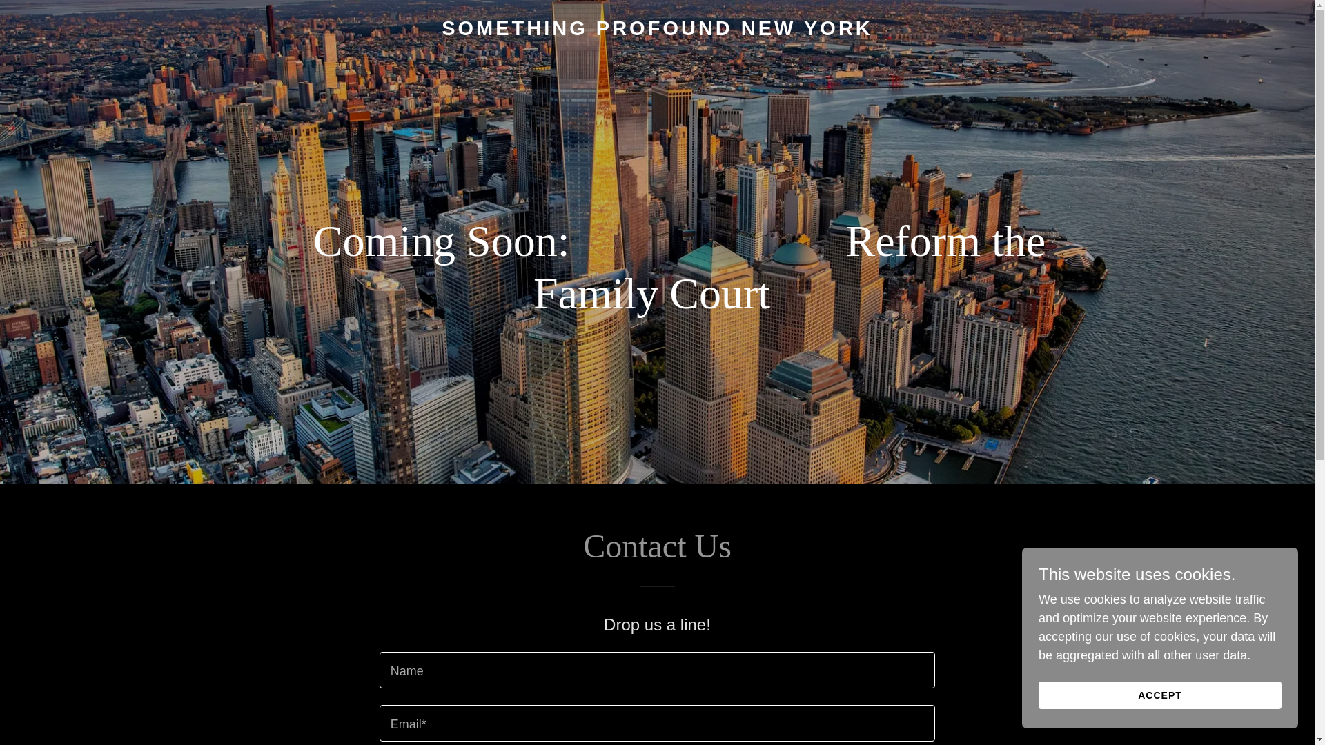 website screenshot of https://somethingprofoundnewyork.com/