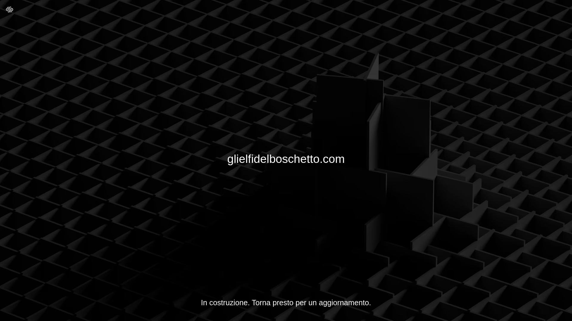 website screenshot of https://glielfidelboschetto.com/