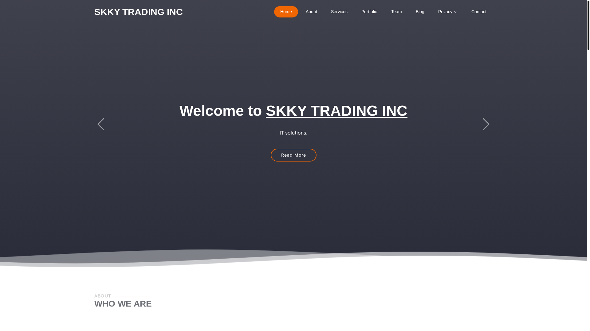 website screenshot of https://skkytradinginc.online/