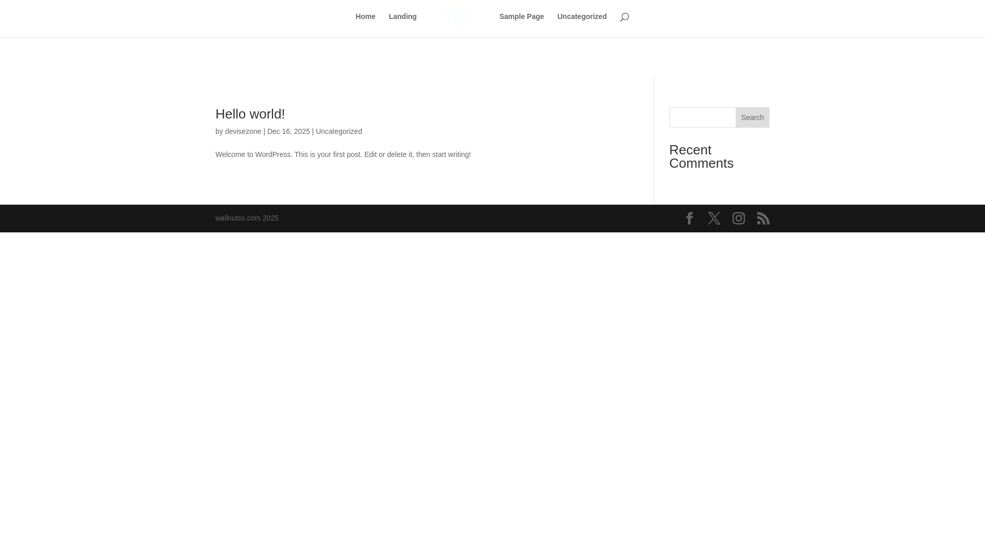 website screenshot of https://wallnutss.com/