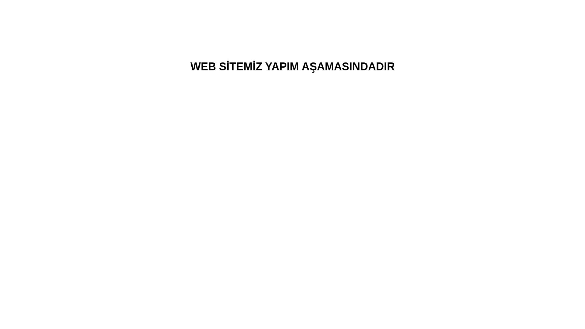 website screenshot of https://aydindakoltukdosemeci.com.tr/