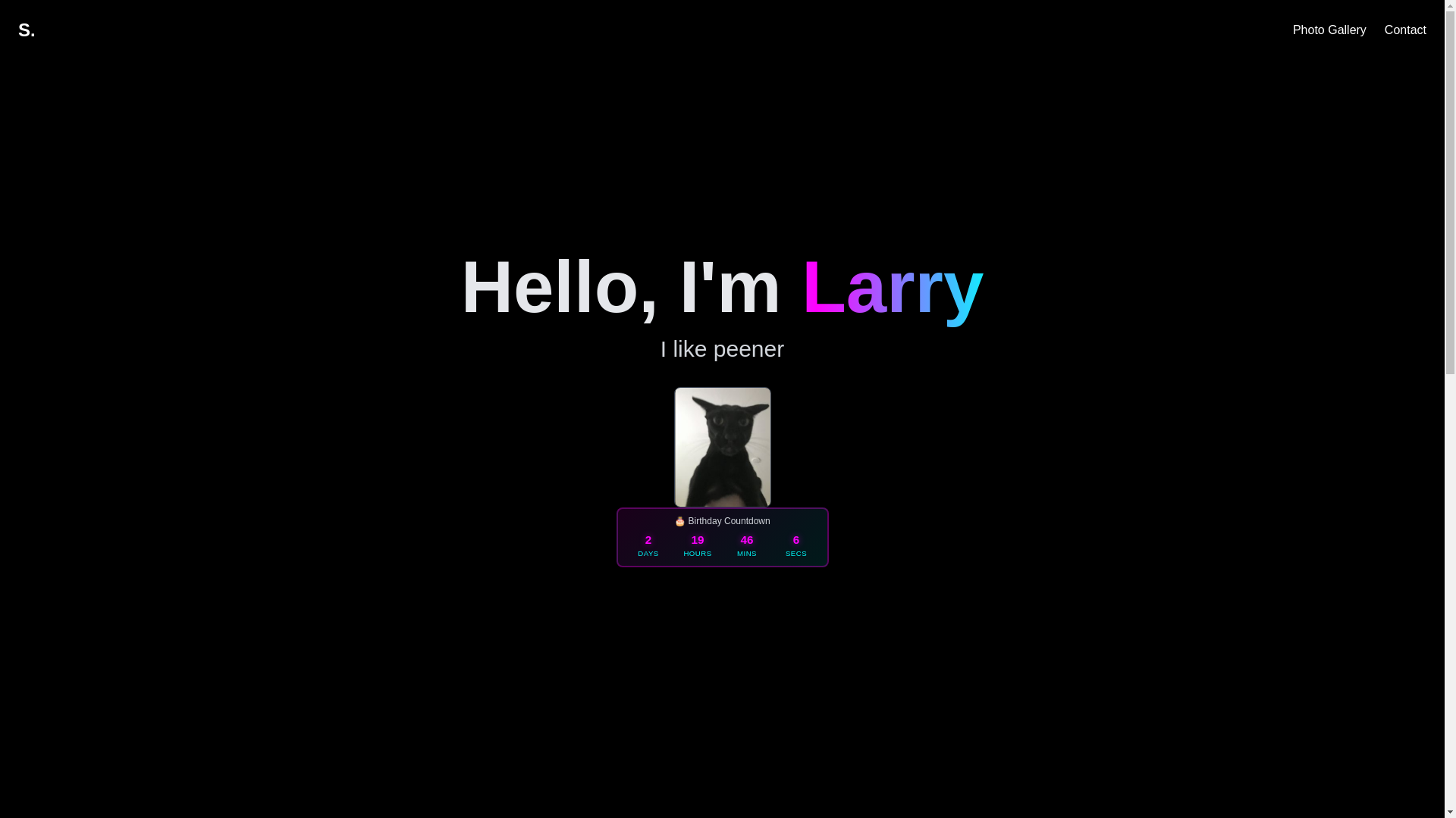 website screenshot of https://aboutlarry.pages.dev/