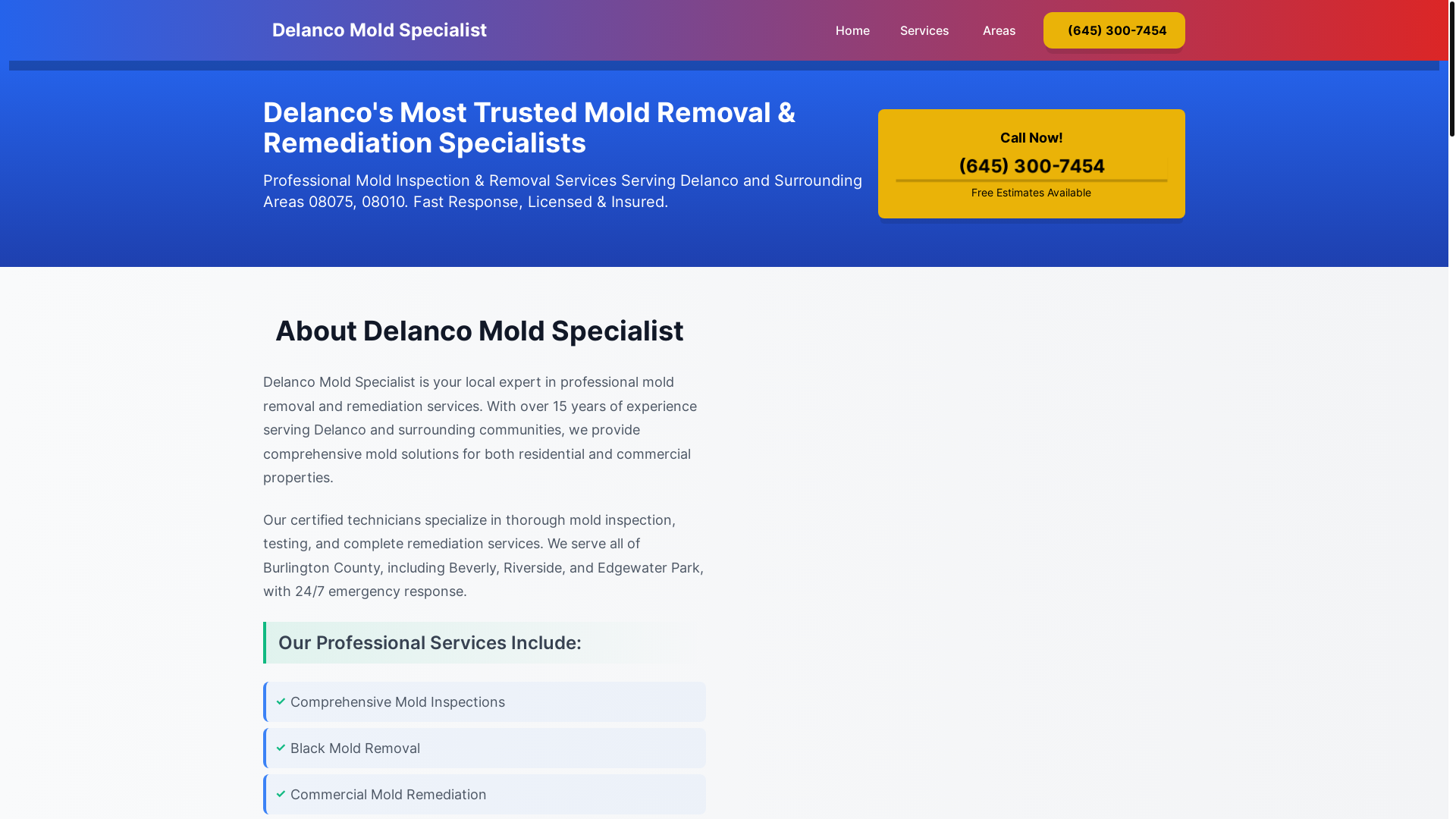 website screenshot of https://mold-inspection-delanco-nj.pages.dev/