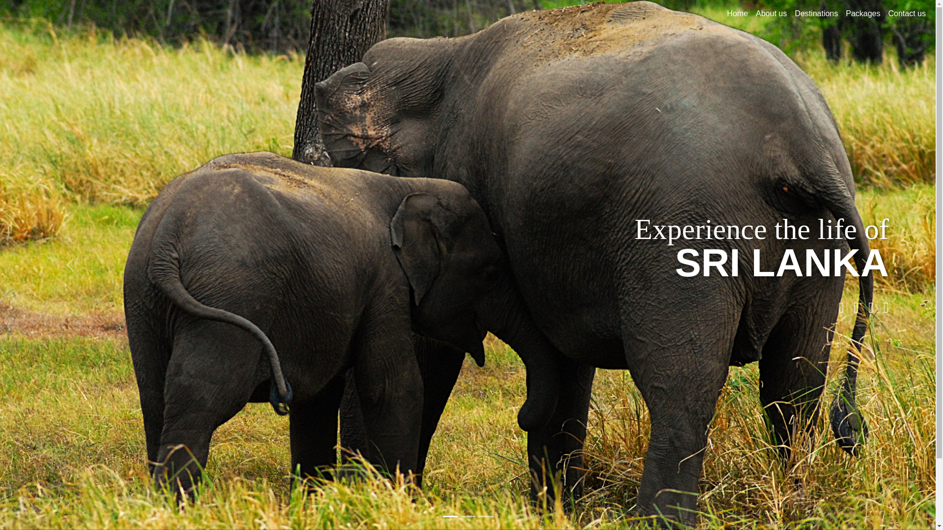 website screenshot of https://travelwithdilankafromsrilanka.com/