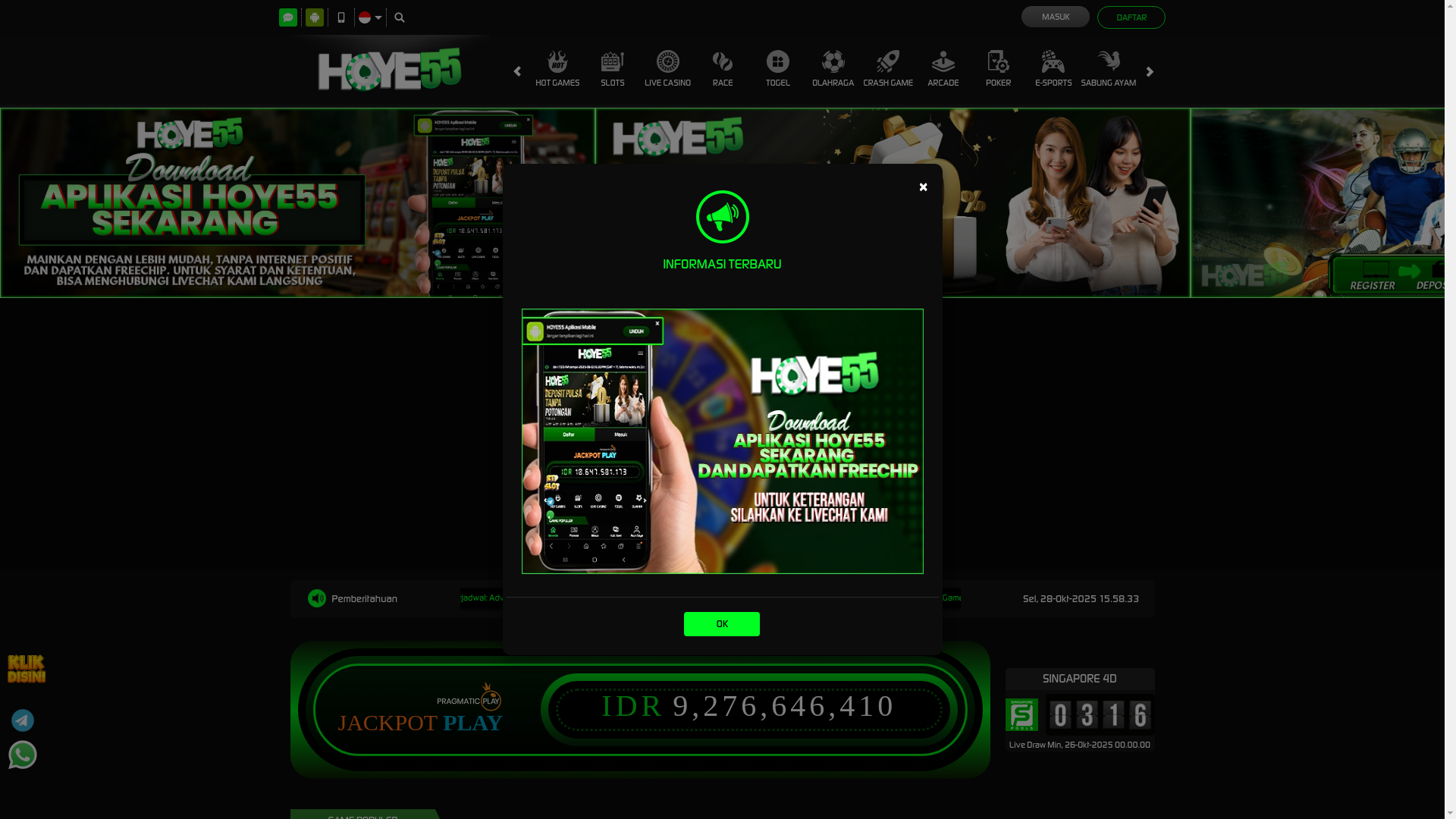 website screenshot of https://hoye55can.info/