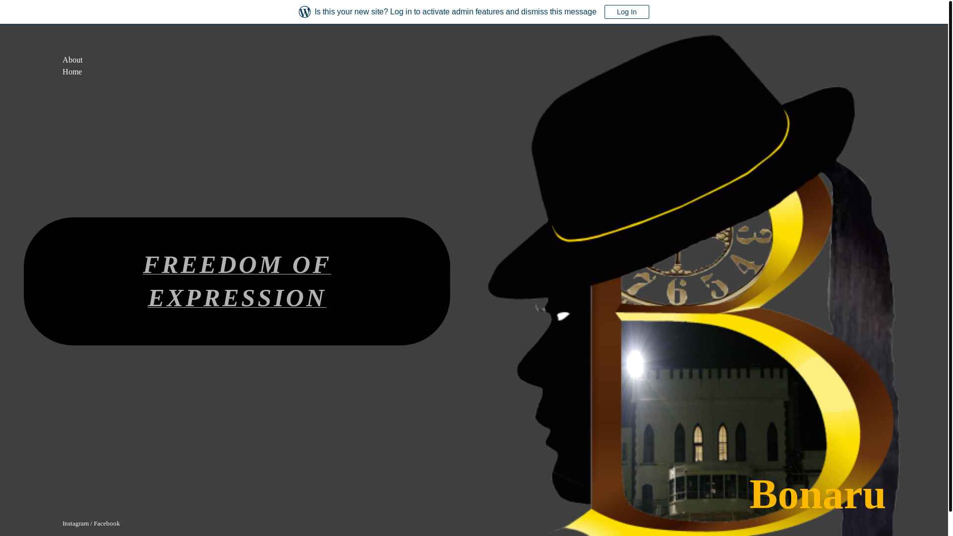 website screenshot of https://bona-ru.org/