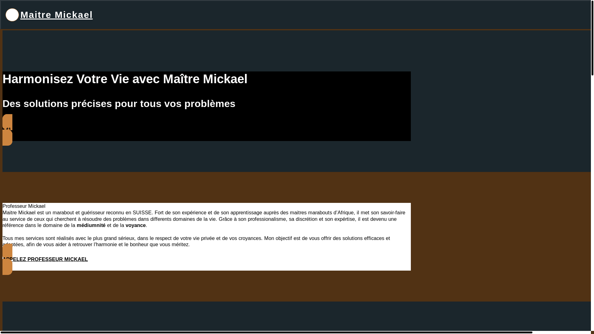 website screenshot of https://maitre-mickael.ch/