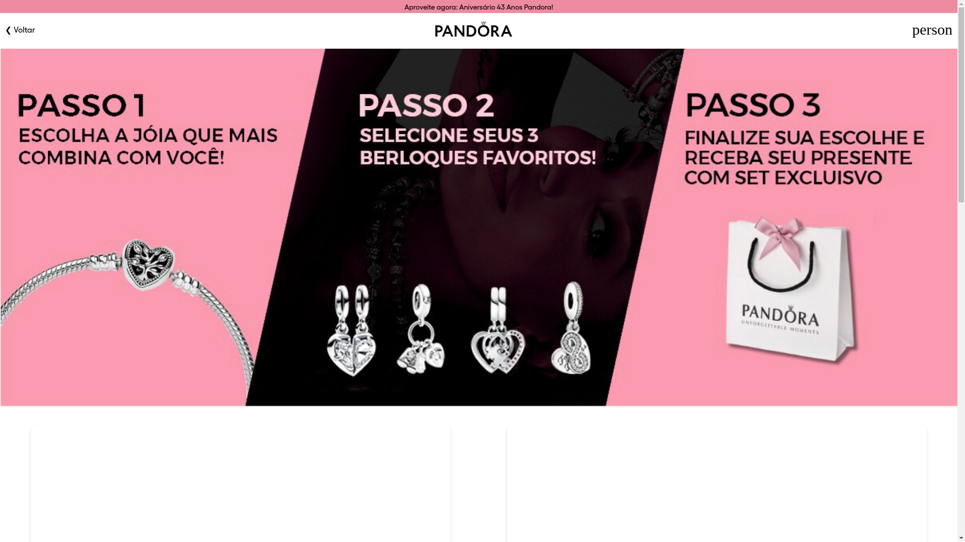website screenshot of https://pandorabr.store/