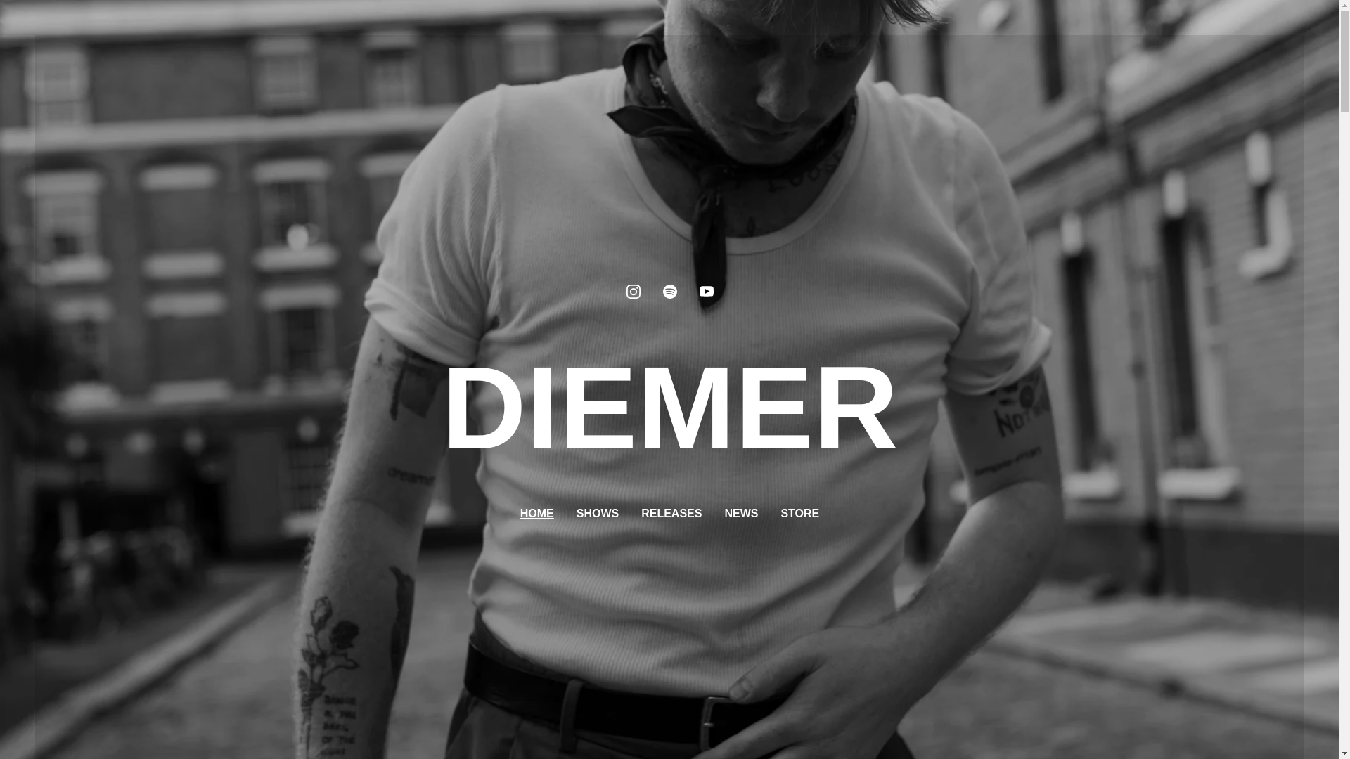 website screenshot of https://diemerofficial.com/