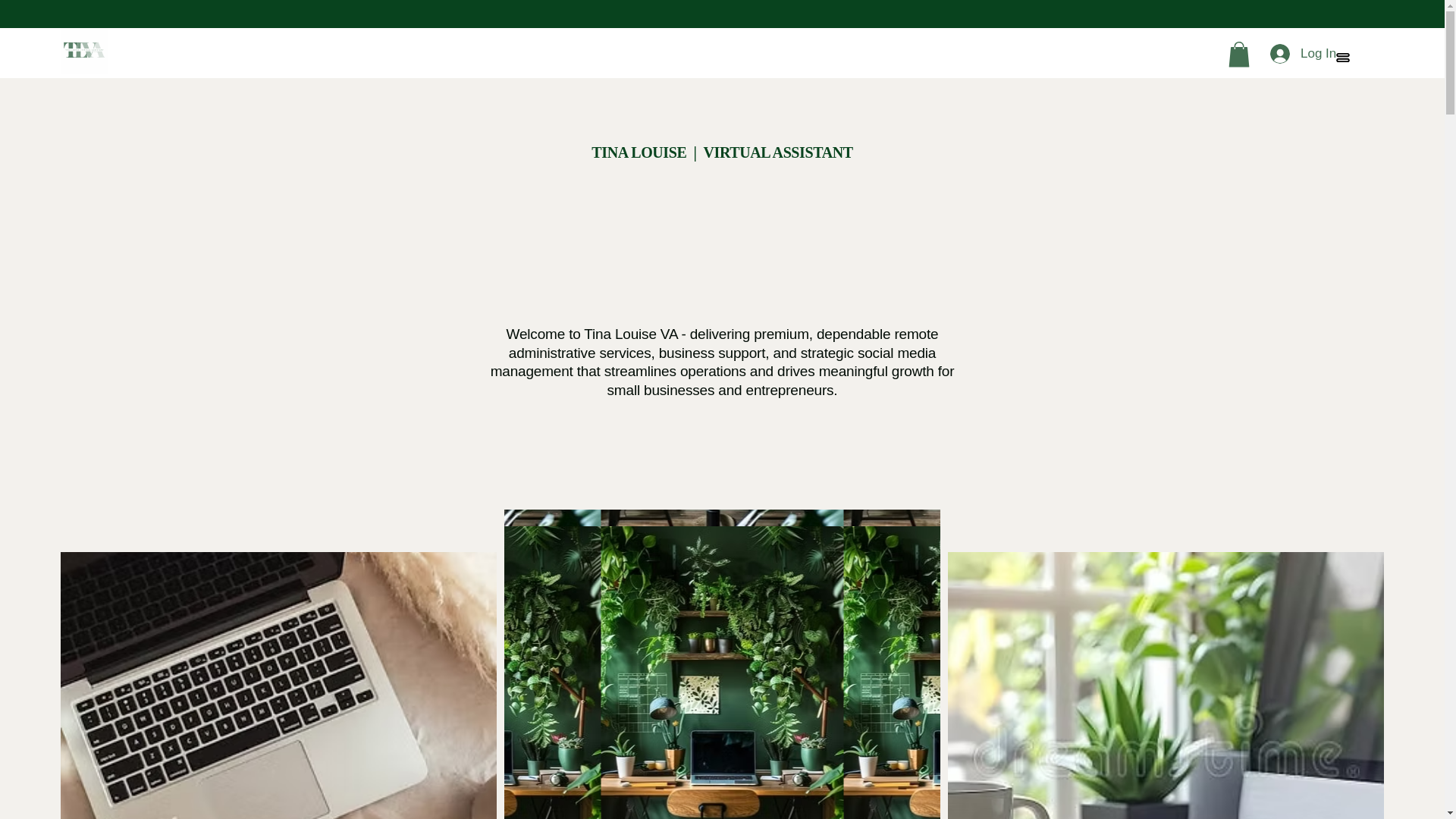 website screenshot of https://tinalouiseva.com/