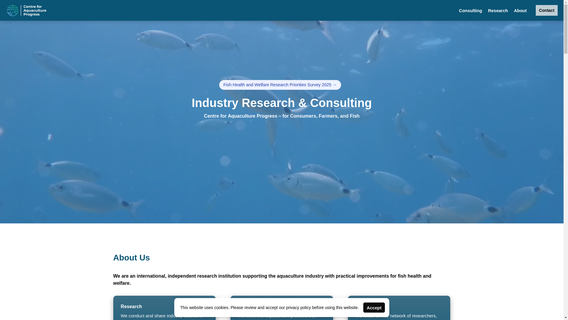 website screenshot of https://cap-fish.pages.dev/