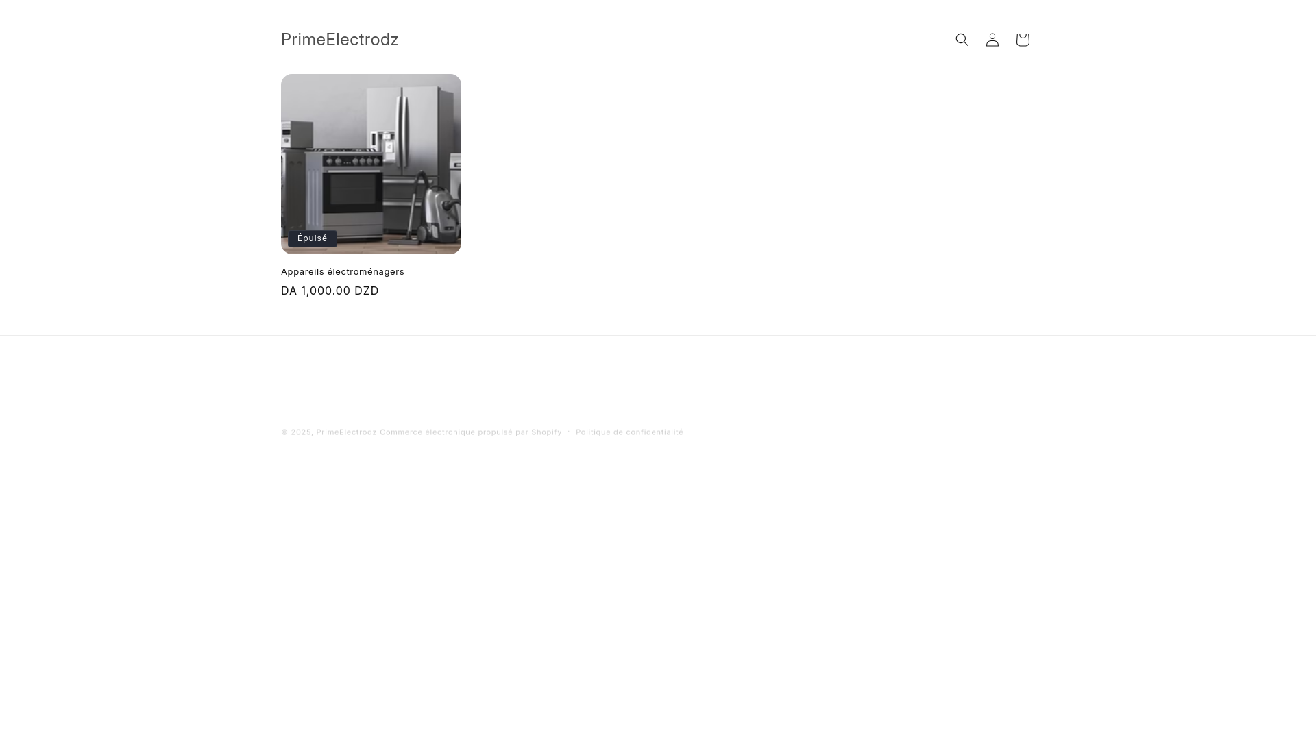 website screenshot of https://primeelectrodz.com/