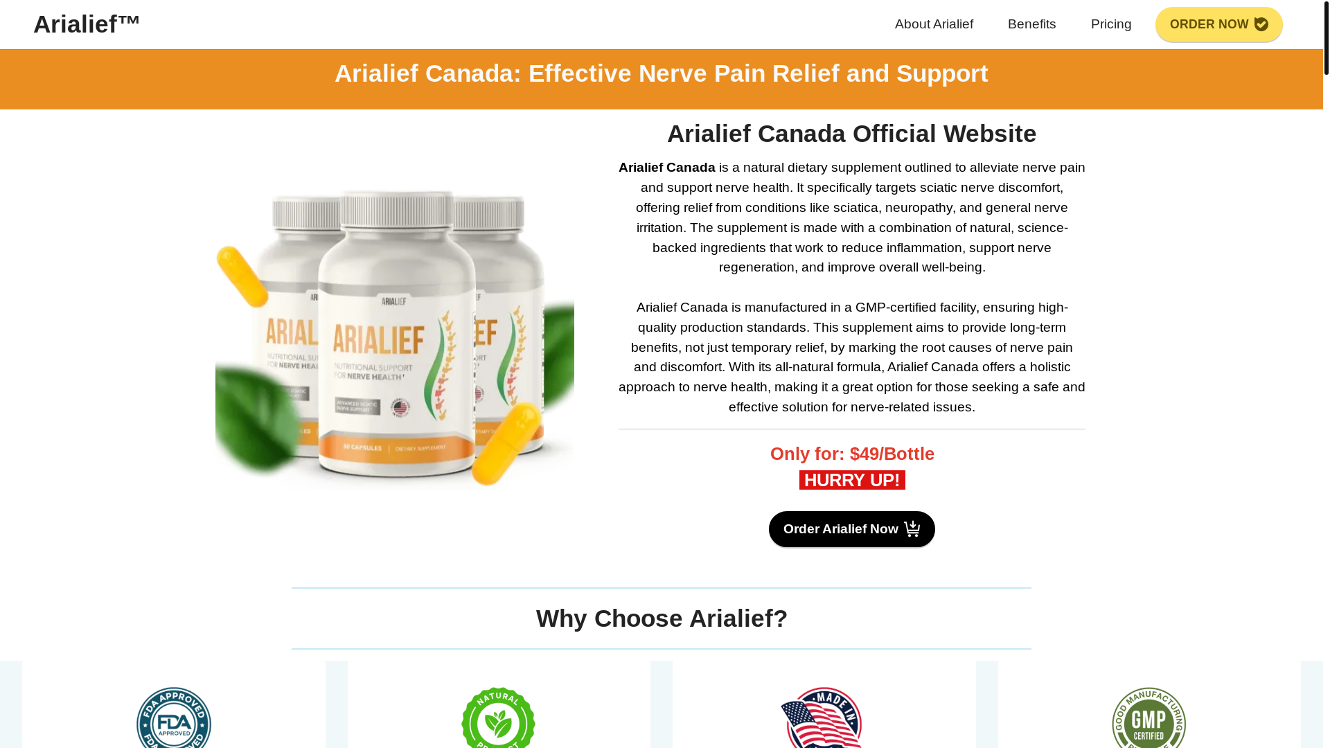 website screenshot of https://arialief-canada.ca/