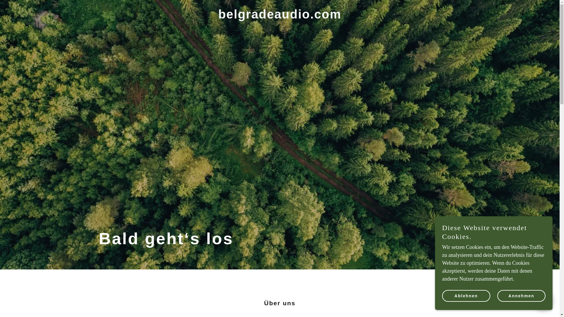website screenshot of https://belgradeaudio.com/