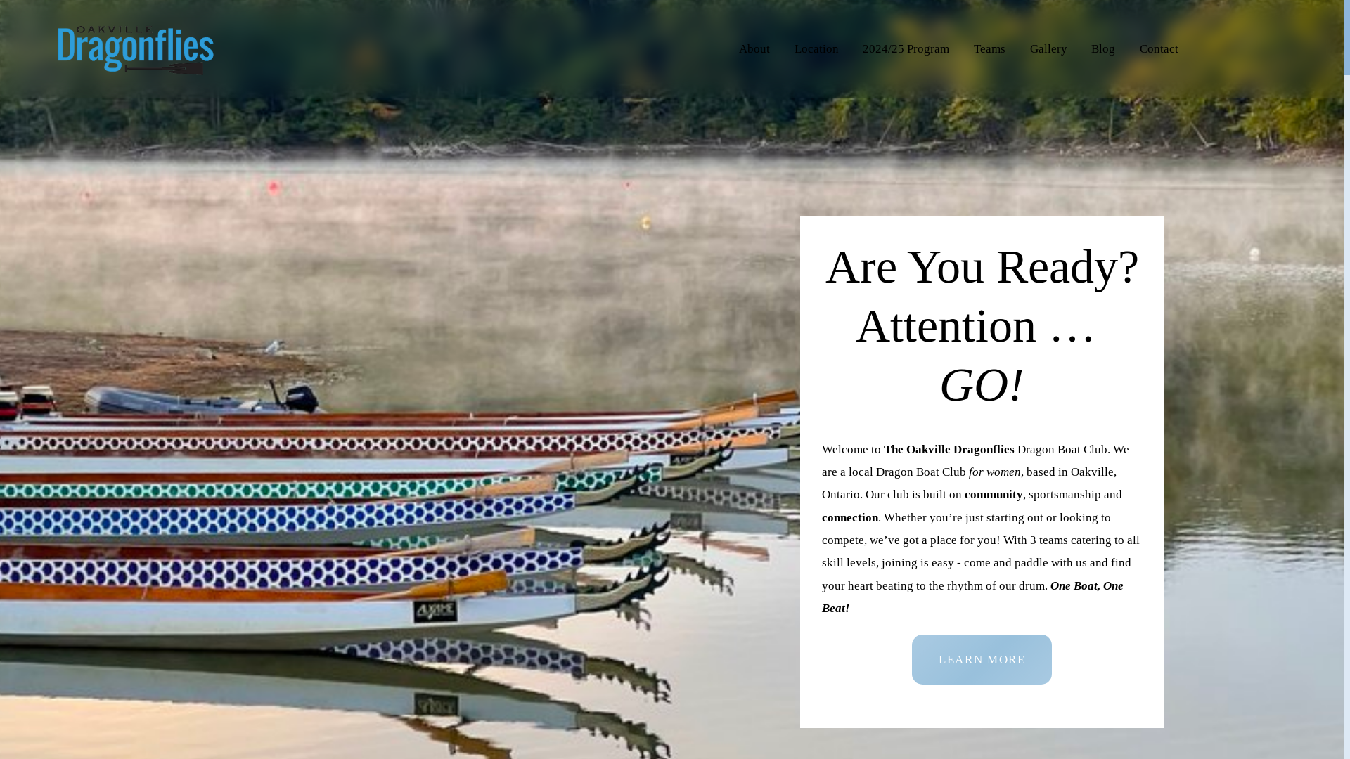 website screenshot of https://oakvilledragonflies.ca/