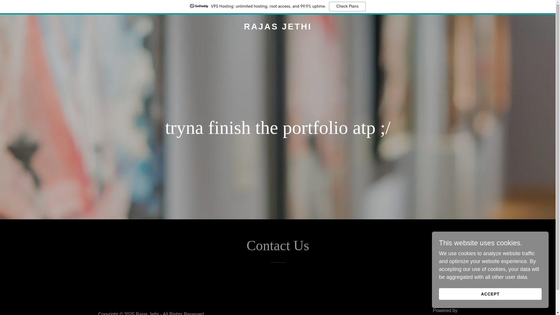 website screenshot of https://rajasjethi.com/