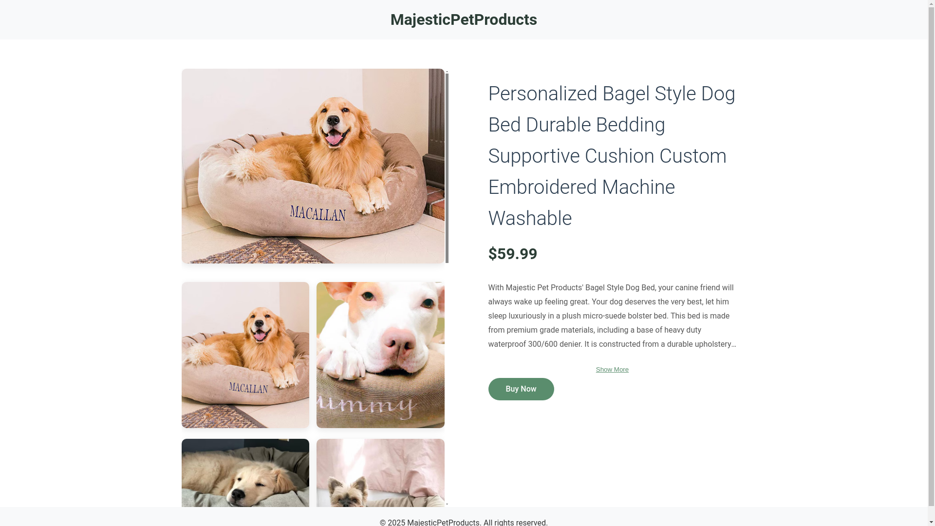 website screenshot of https://ces0rc.top/