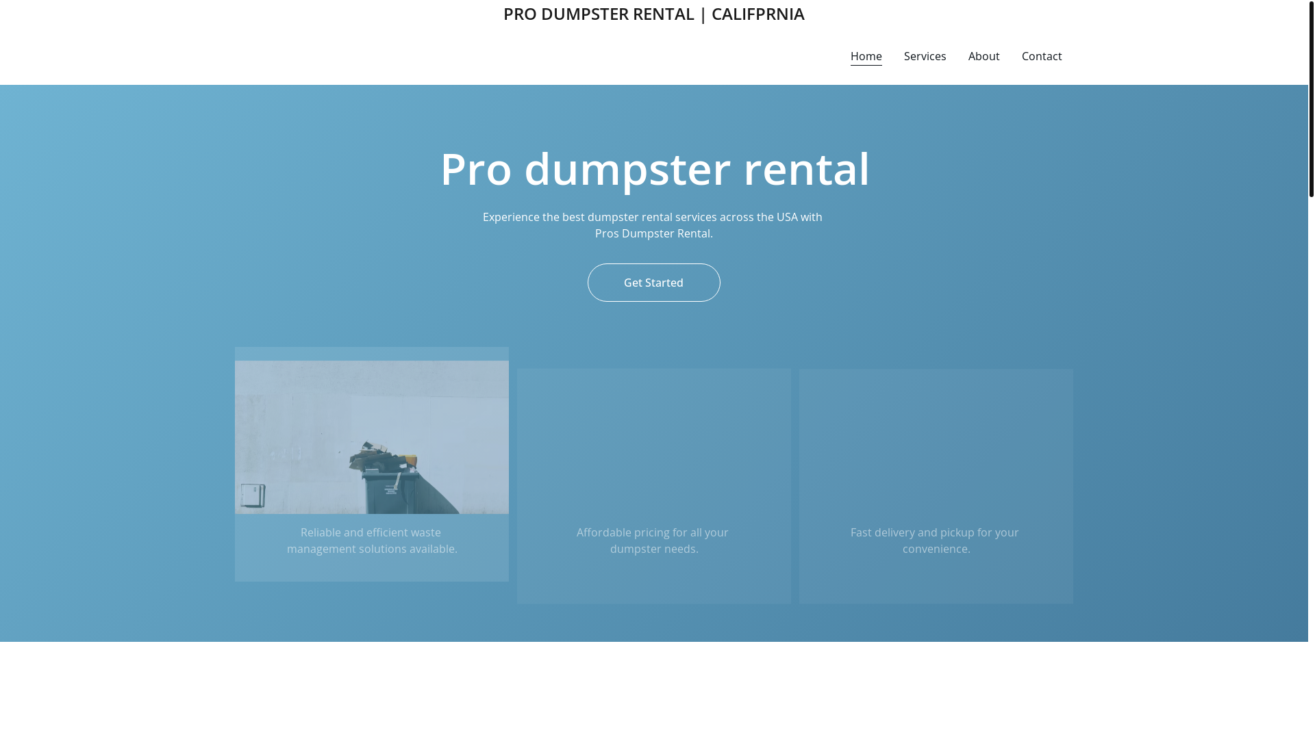 website screenshot of https://prosdumpsterrental.shop/