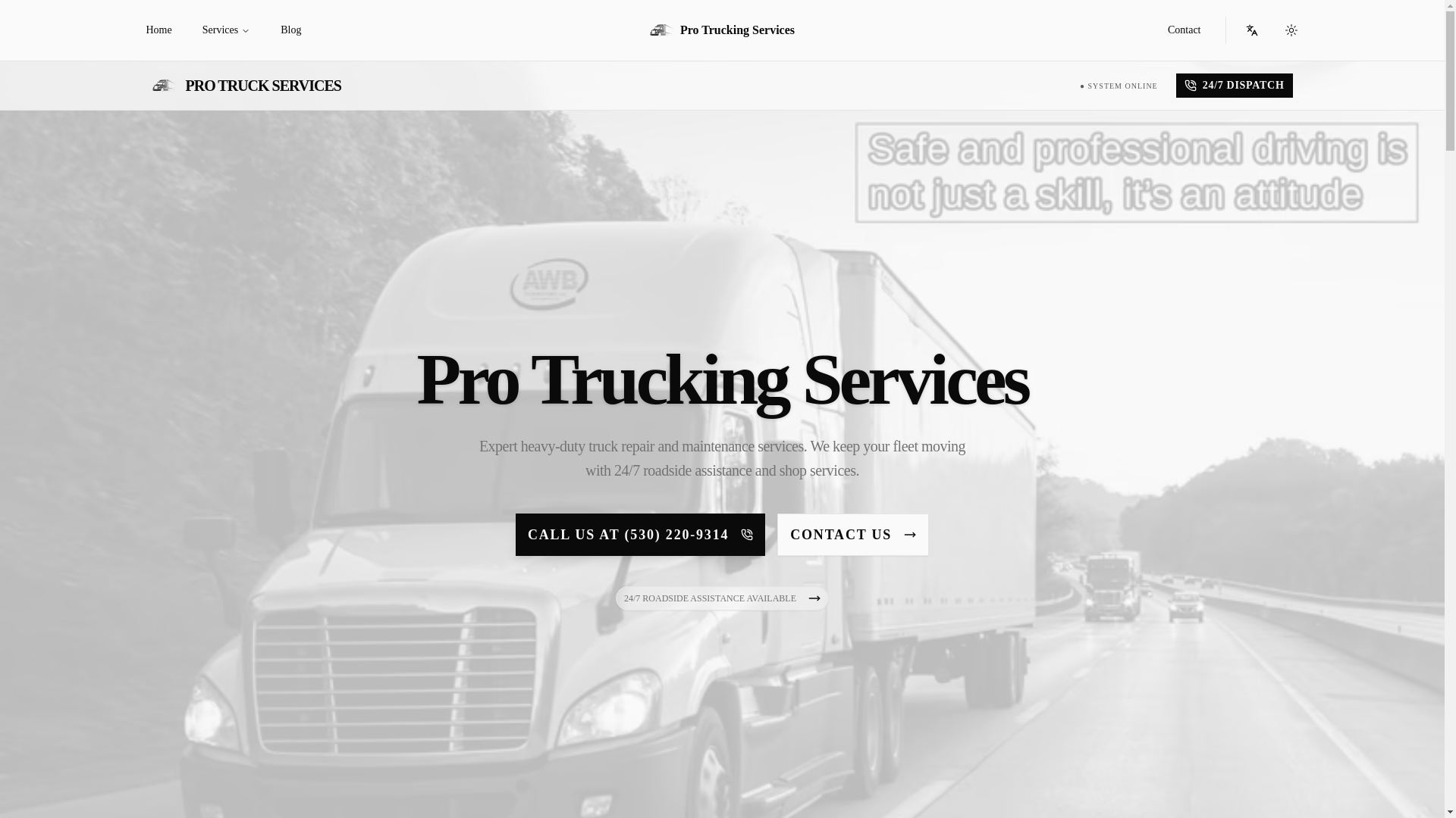 website screenshot of https://protruckworks.com/