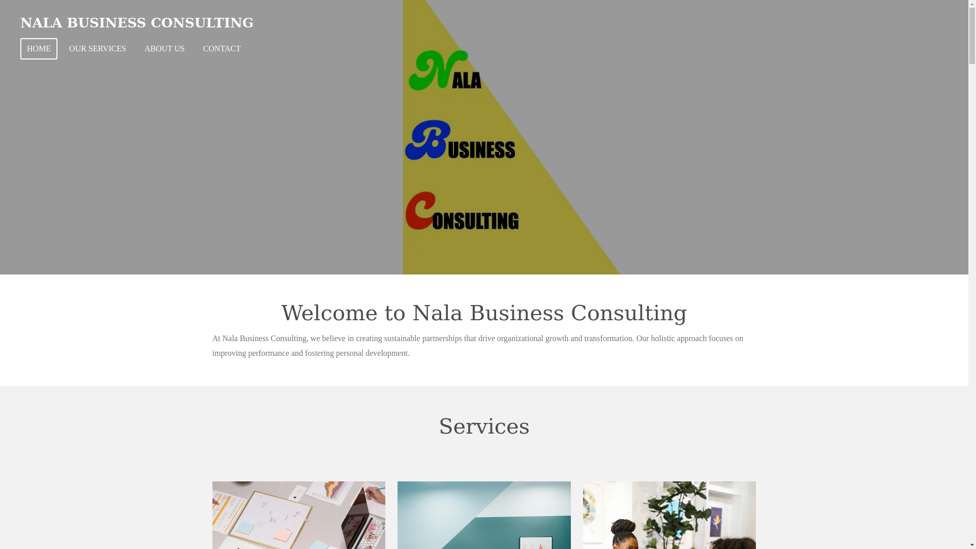 website screenshot of https://nalabusinessconsulting.com/