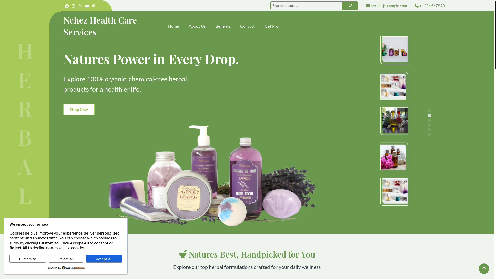 website screenshot of https://nchezhealthcare.com/