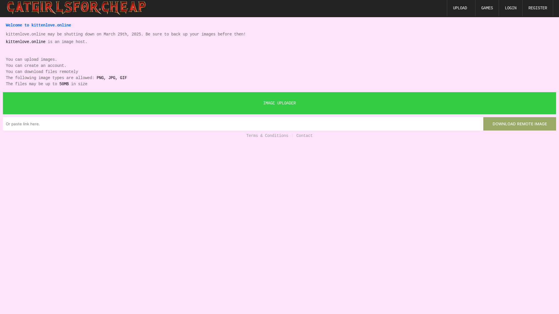 website screenshot of https://kittenlove.online/