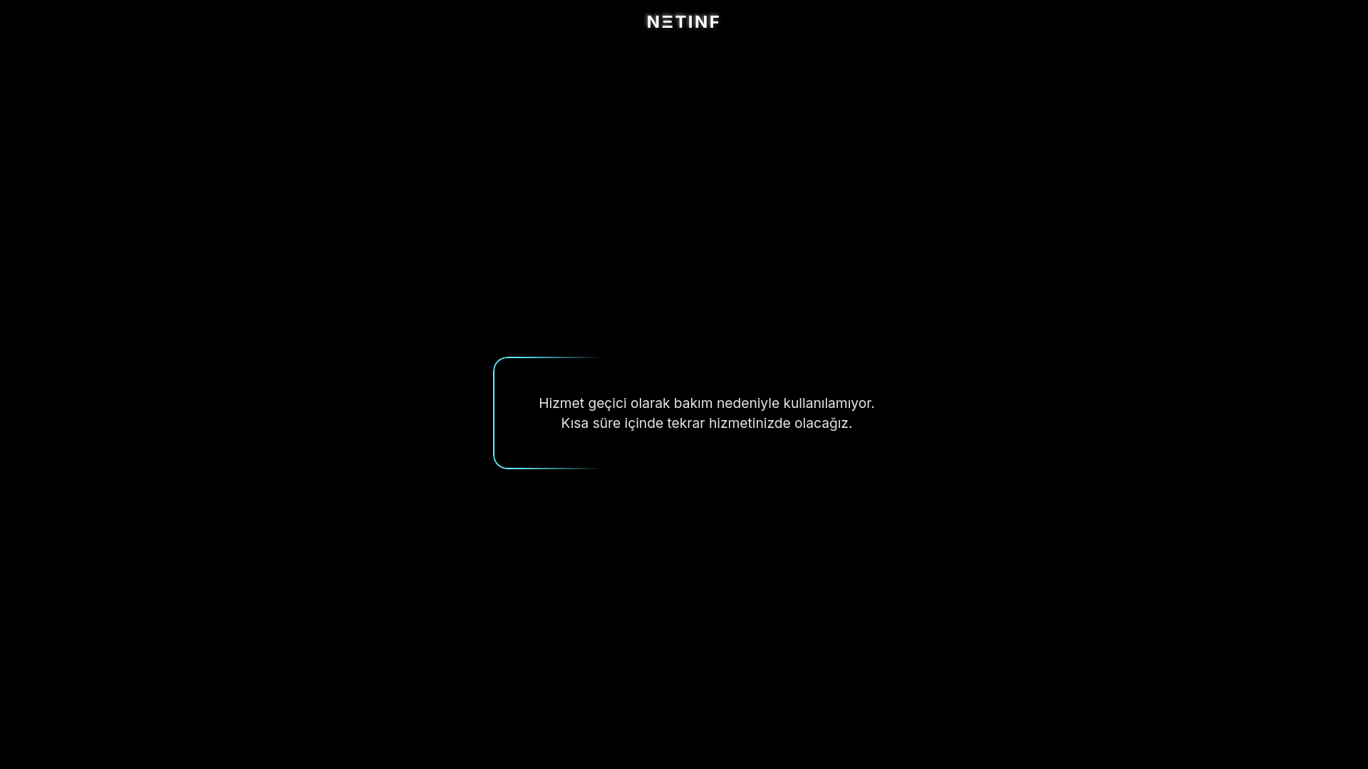 website screenshot of https://netinf.tr/