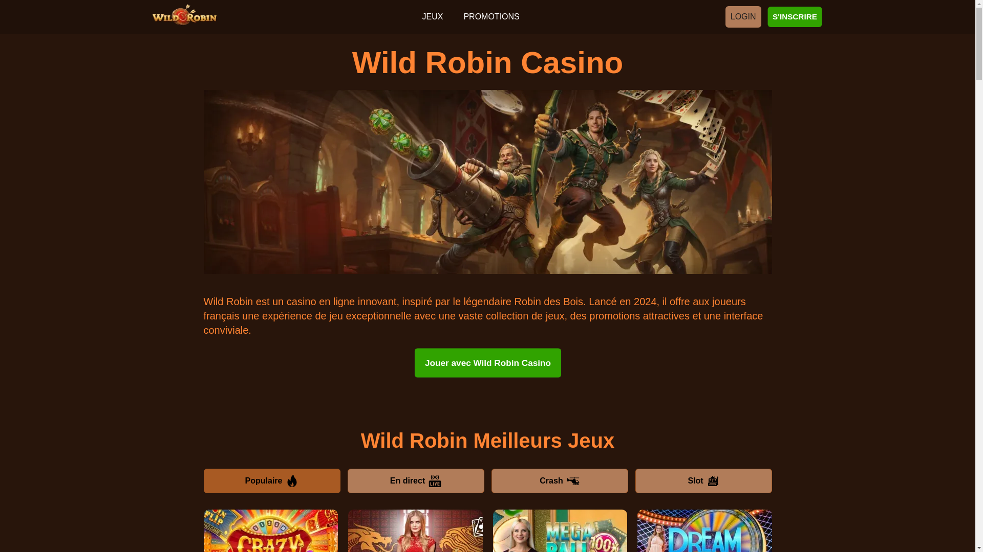 website screenshot of https://wildrobincasinos-fr-4905.pages.dev/