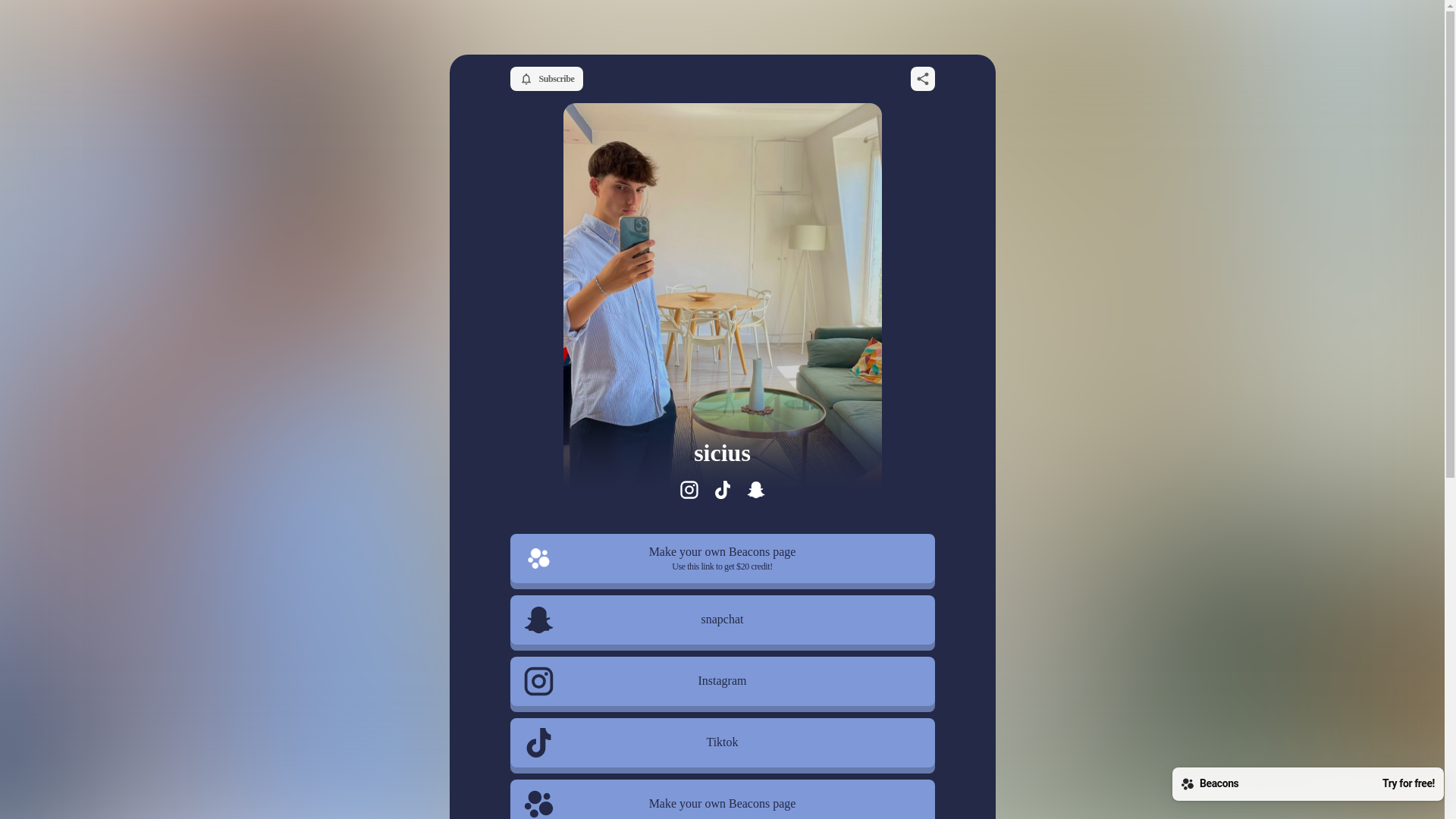 website screenshot of https://pierrefevre.store/