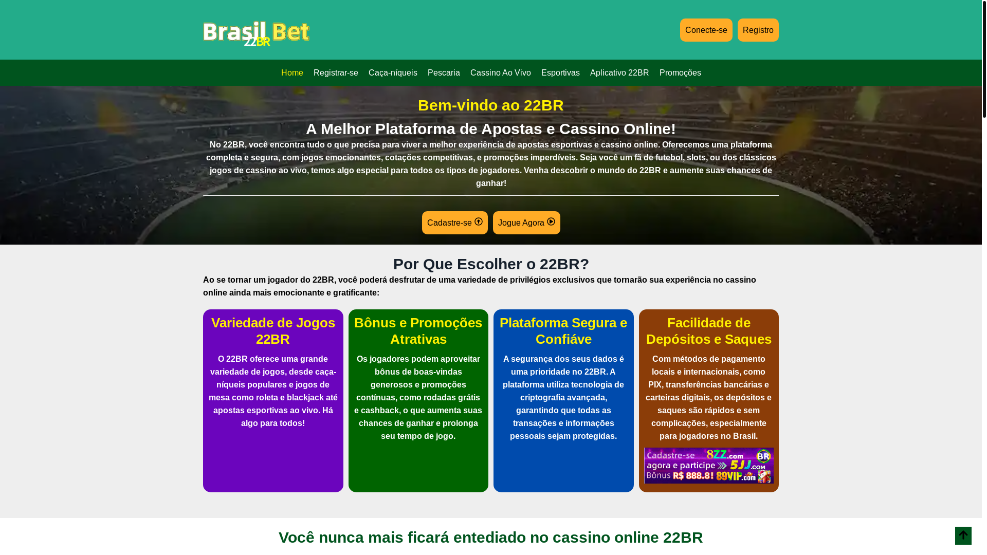 website screenshot of https://22br-navi.com/