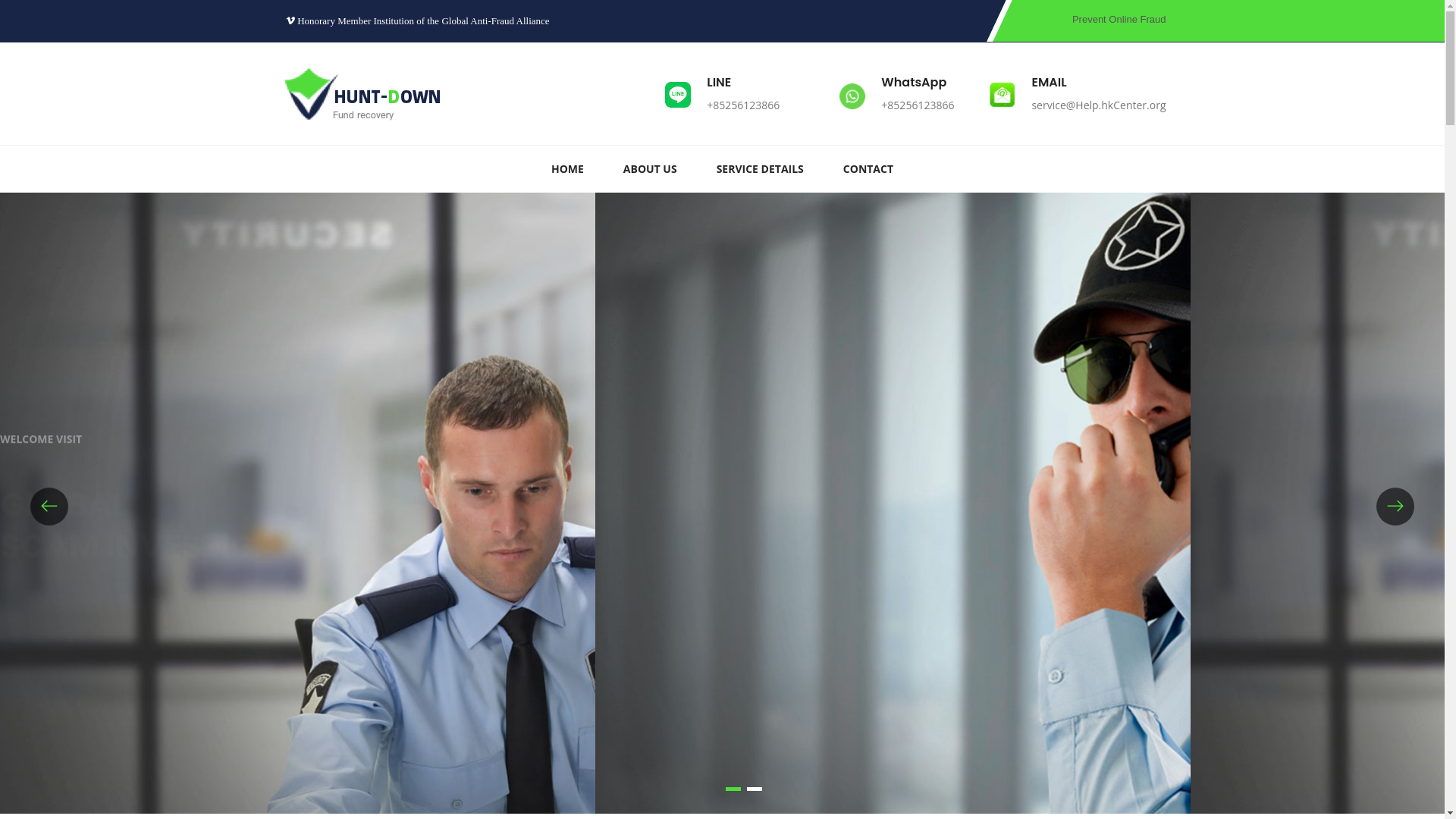 website screenshot of https://interpols.to/