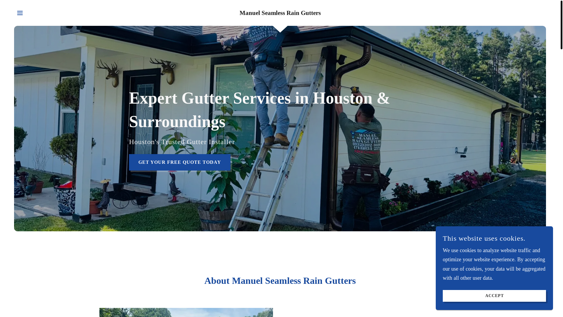 website screenshot of https://manuelraingutters.com/