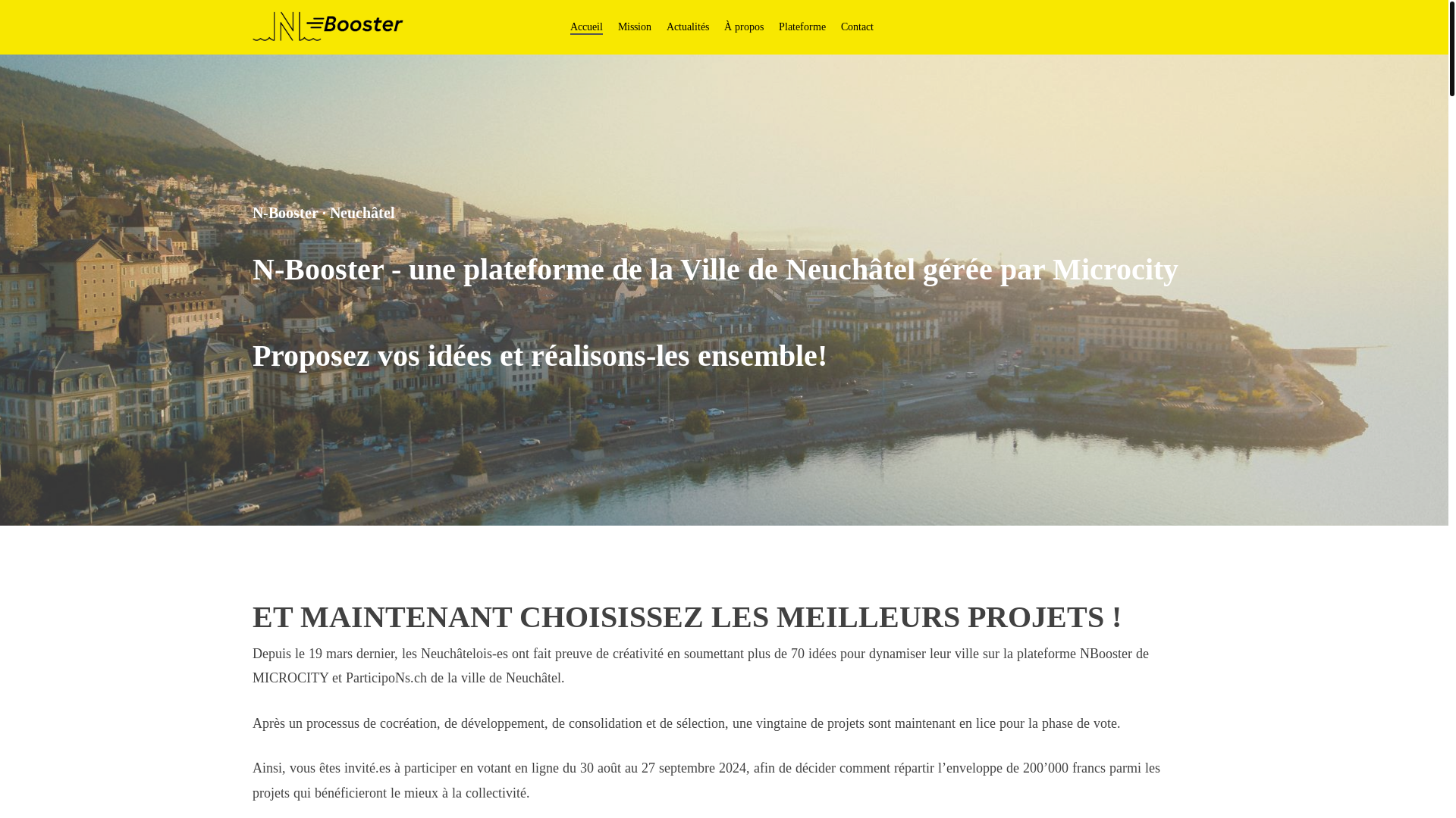 website screenshot of https://nbooster.ch/